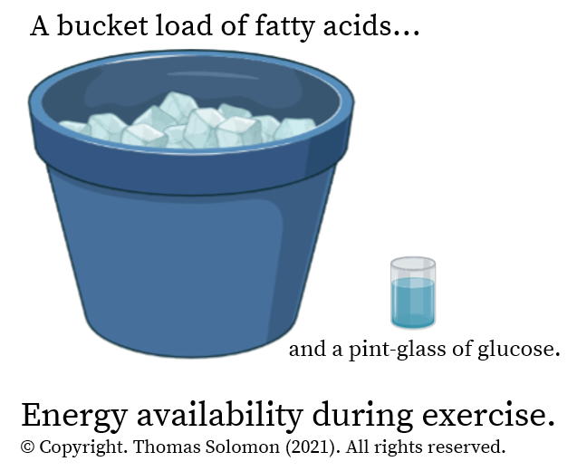 A bucket load of fatty acids and a pint-glass of glucose from Thomas Solomon.