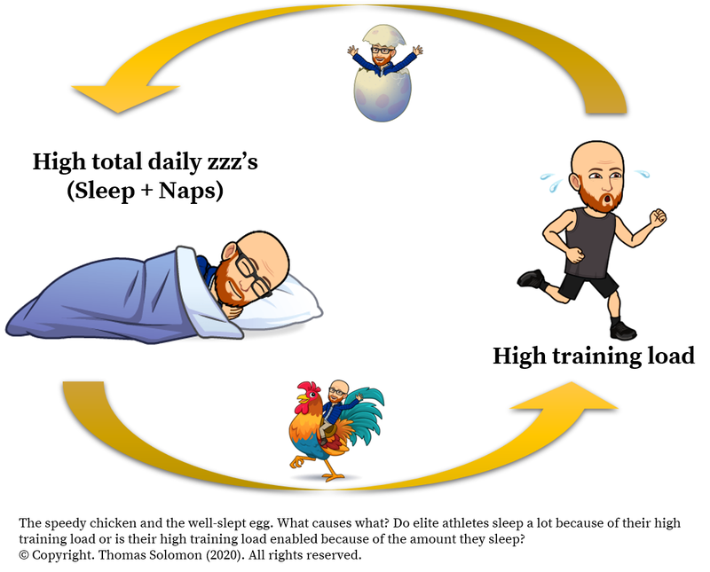 Napping and sleep for recovery. The speedy chicken and the well-slept egg. Thomas Solomon at Veohtu.