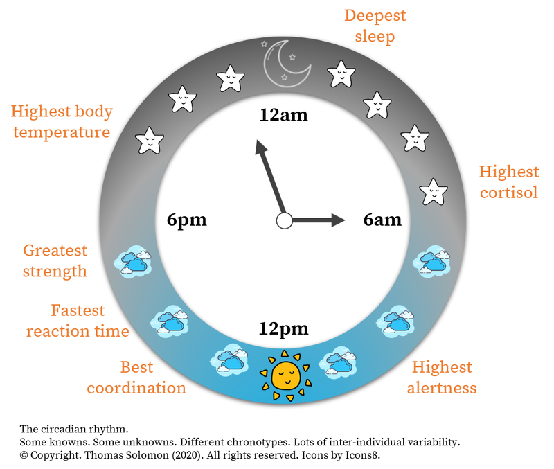 Circadian rhythm of sleep, exercise, and recovery for runners and obstacle course race athletes from Thomas Solomon.