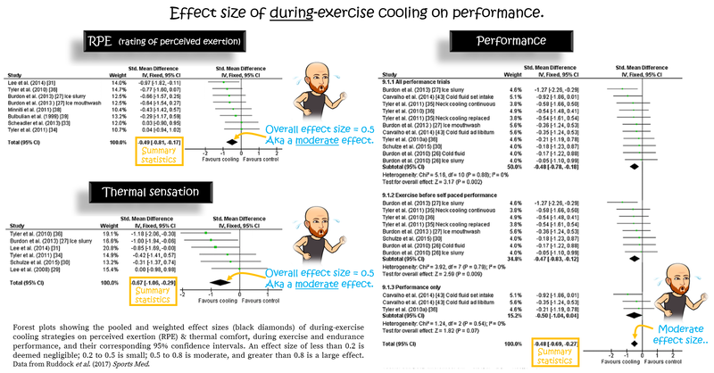 Effect of during-exercise cooling on exercise performance in the heat.