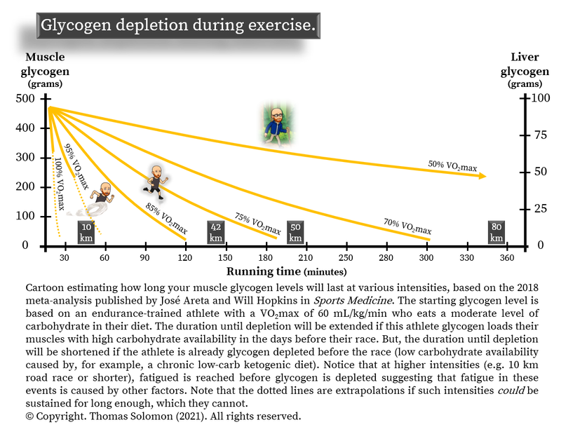 Glycogen depletion during exercise for runners and obstacle course race athletes from Thomas Solomon.