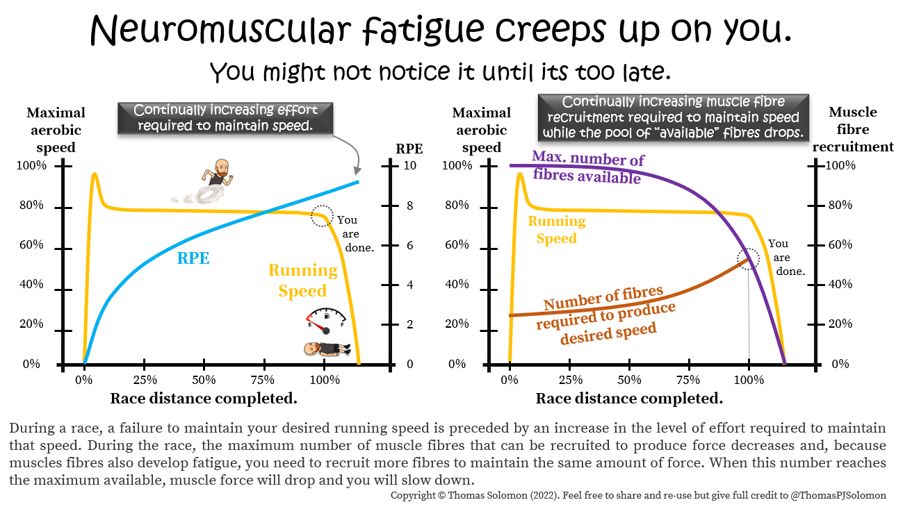 Neuromuscular fatigue in runners and obstacle course race athletes from Thomas Solomon.