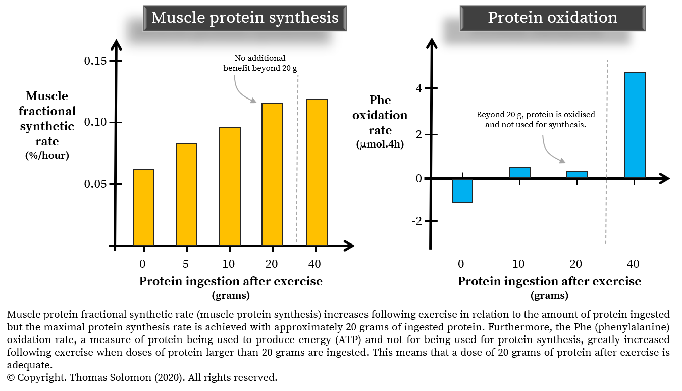 Protein dosing for maximizing muscle protein synthesis after exercise. Thomas Solomon at Veohtu.