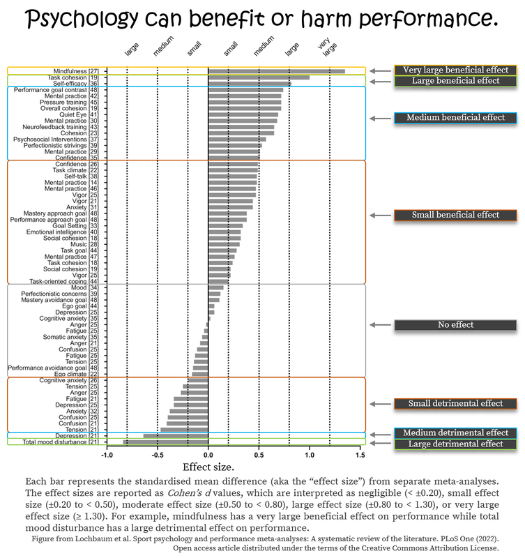 Performance psychology in runners and obstacle course race athletes from Thomas Solomon