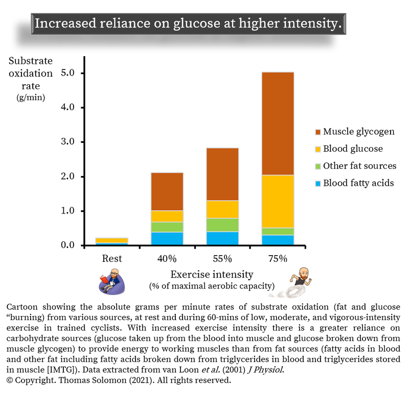 Increased reliance on glucose during exercise from Thomas Solomon.