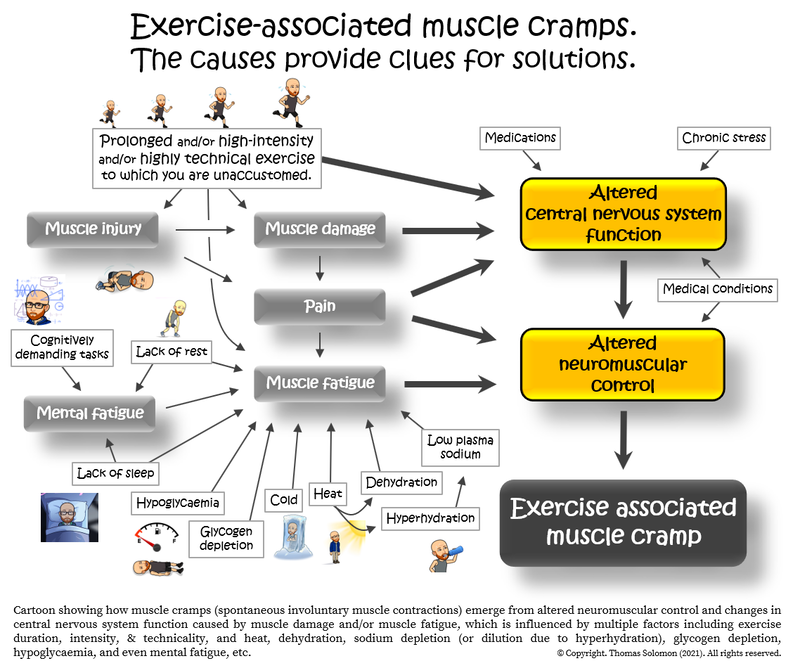 Muscle cramps for runners and obstacle course race athletes from Thomas Solomon.