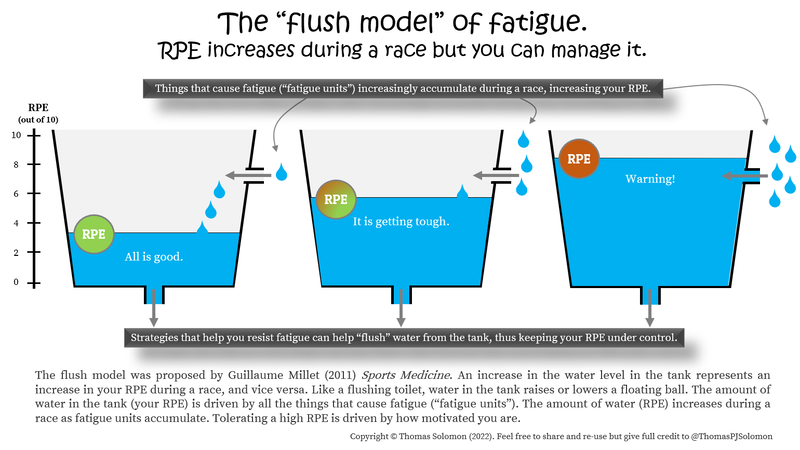 The flush model of fatigue in runners and obstacle course race athletes from Thomas Solomon.