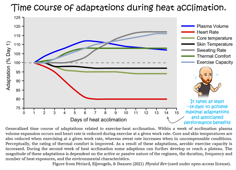 Timecourse for heat acclimation for runners and OCR athletes from Thomas Solomon at Veohtu.