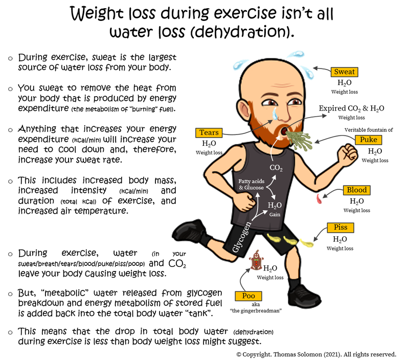 Water loss (dehydration) and weight loss during exercise for runners and obstacle course race athletes from Thomas Solomon.