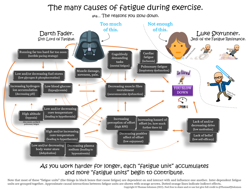 The causes of fatigue in runners and obstacle course race athletes from Thomas Solomon.