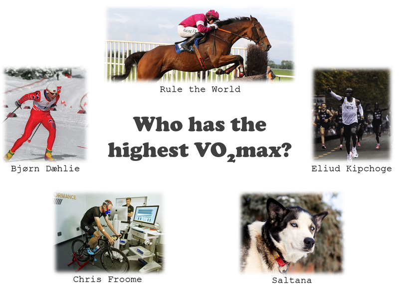 Who has the highest VO2max? Bjørn Dæhlie. Oskar Svendsen. Chris Froome. Run The World. Sultana. 